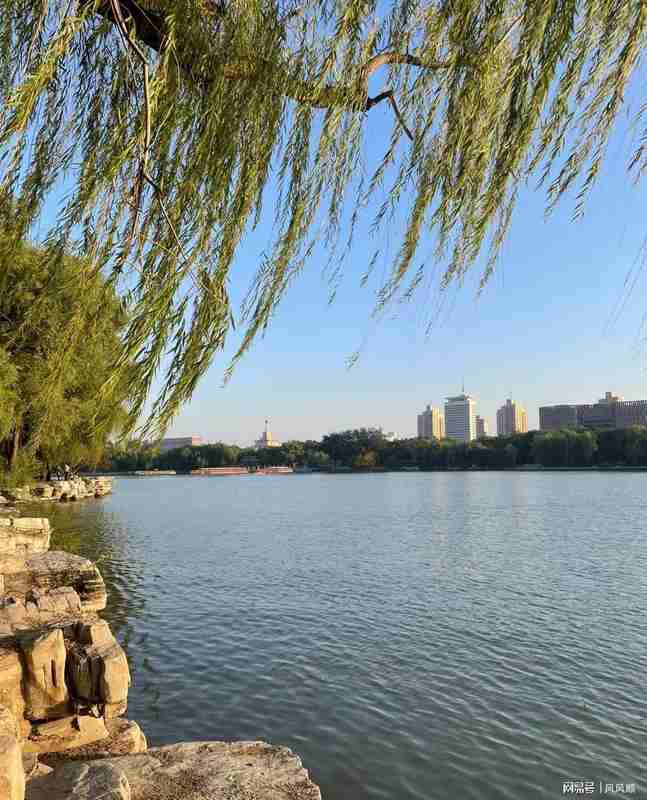 中东变局下，普通人如何守护自己的钱袋子？ 股票财经