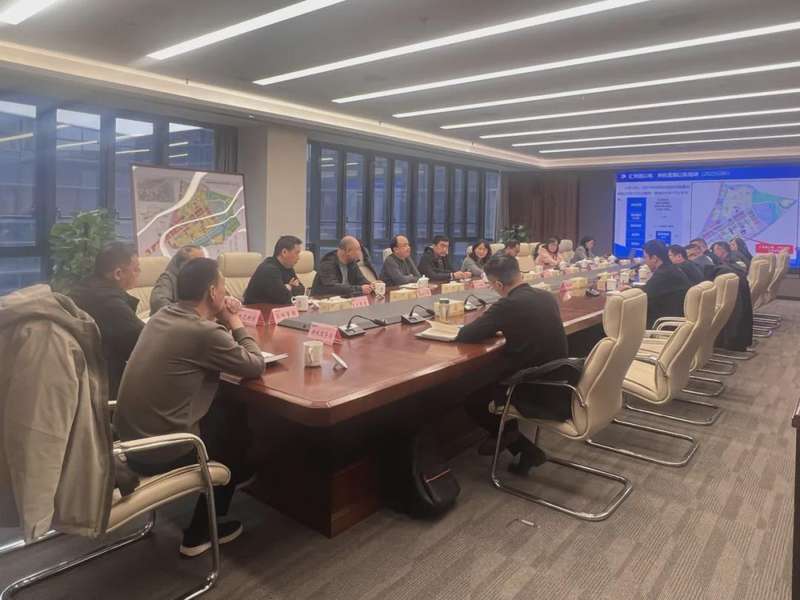  金茂落子南部新城：第四度布局背后的土地价值与技术逻辑深度解析 房产家居