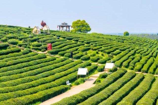  武汉东西湖五环体育中心：梁静茹演唱会选址背后的文旅融合逻辑 文化旅游