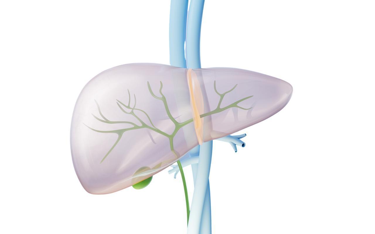 他汀用药安全：他汀与食物相互作用的分子机制深度解析 健康养生