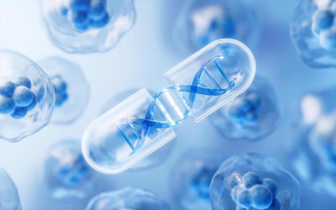  他汀用药安全：他汀与食物相互作用的分子机制深度解析 健康养生