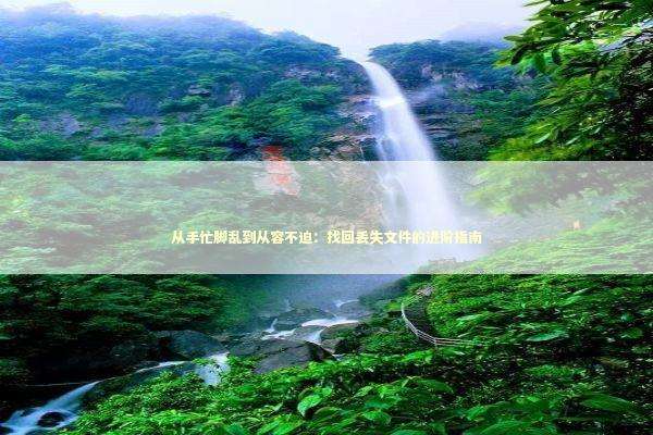 从手忙脚乱到从容不迫：找回丢失文件的进阶指南