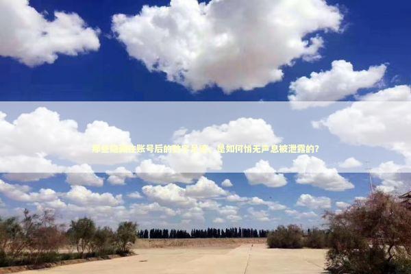 那些隐藏在账号后的数字足迹，是如何悄无声息被泄露的？ IT技术