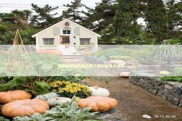 佩戴神秘饰物前必须了解的避讳与讲究 文化旅游