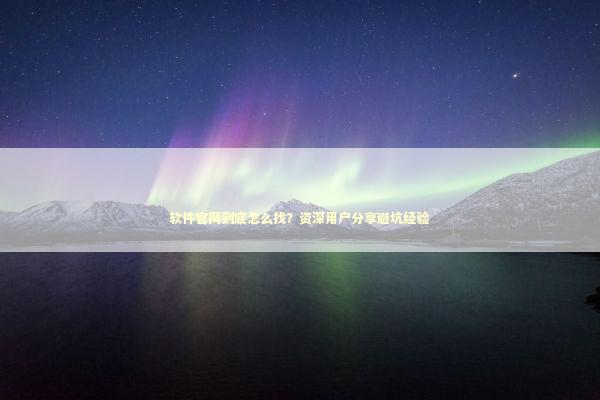 软件官网到底怎么找？资深用户分享避坑经验 IT技术