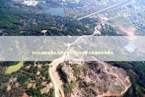 为什么越来越多人选择这类软件安全防护方案最新数据曝光