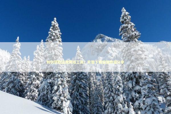 如何获取这款网络工具？完整下载安装教程分享 IT技术