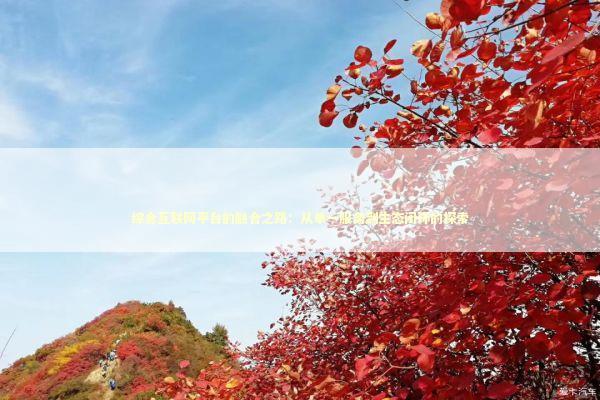 综合互联网平台的融合之路：从单一服务到生态闭环的探索 新闻