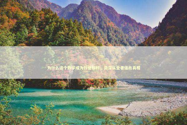 为什么这个数字成为行业标杆，资深从业者道出真相