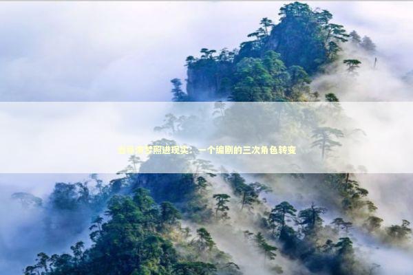 当导演梦照进现实：一个编剧的三次角色转变