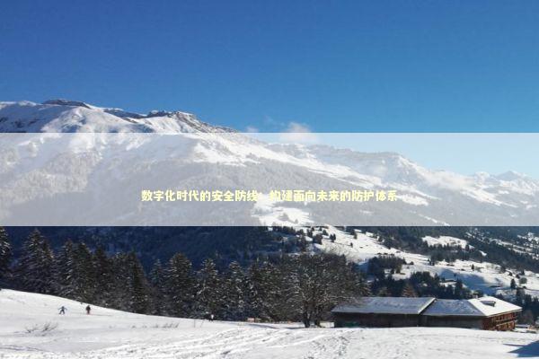 数字化时代的安全防线：构建面向未来的防护体系